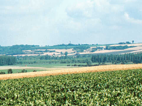 Looking towards the Richthofen Chimney