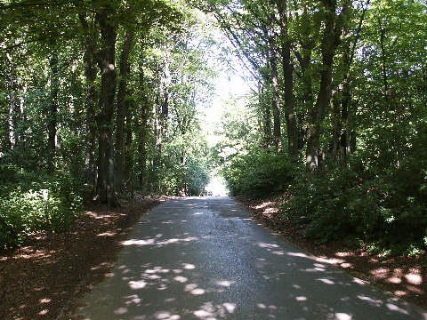 Looking down the slope towards the French Ossuary